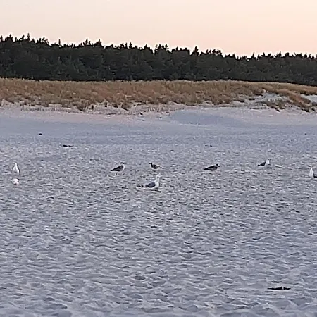 Magico Posto * Wierzchucino