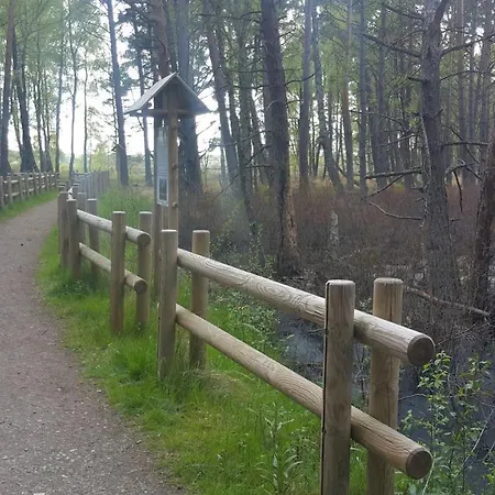 Magico Posto Дом отдыха Wierzchucino