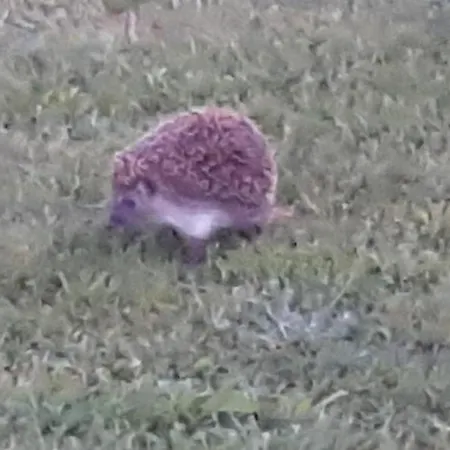 Magico Posto Дом отдыха *