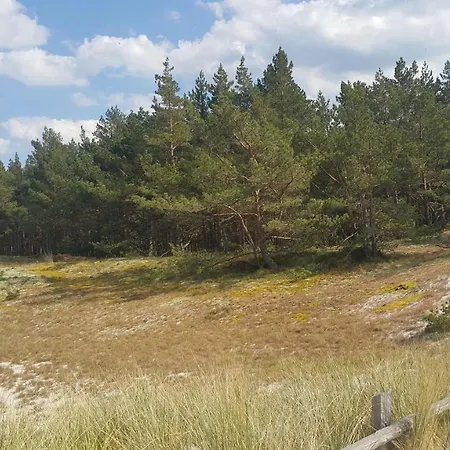 Magico Posto