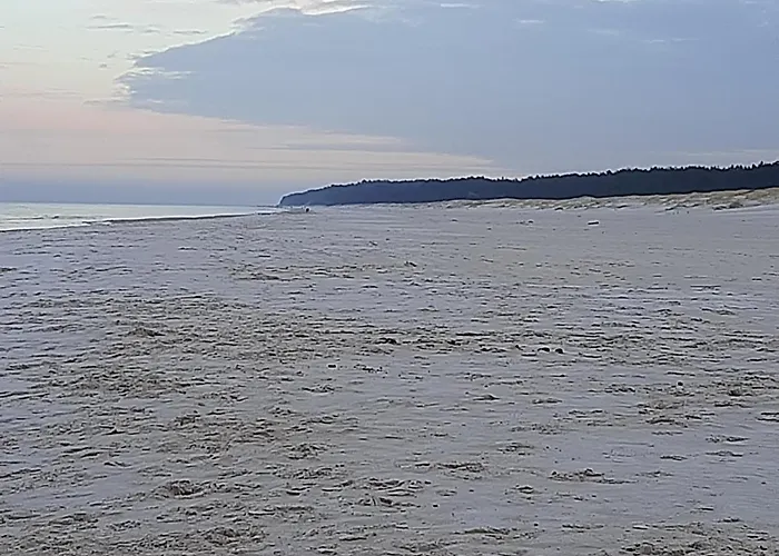 Magico Posto Wierzchucino