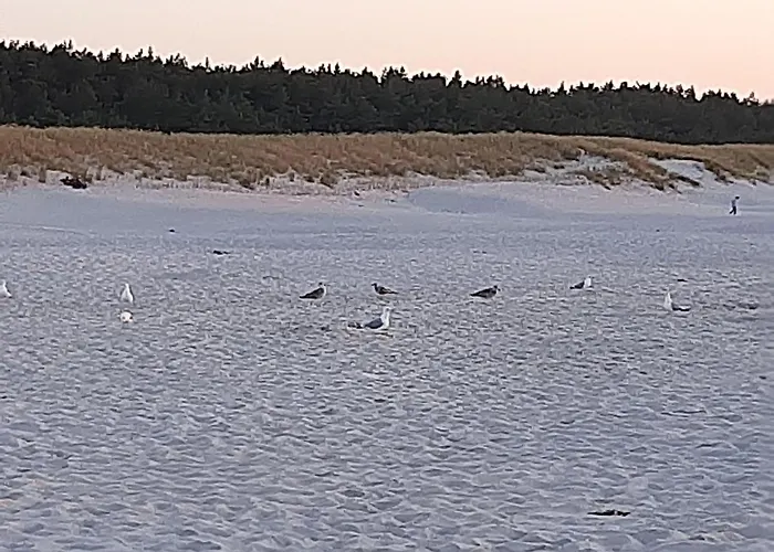 Magico Posto * Wierzchucino