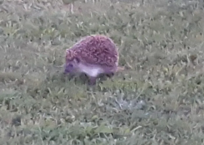 Magico Posto Holiday home *